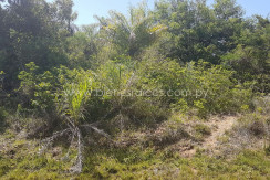 samber-cortijo01